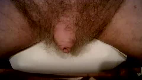 peterpeteropoulos online show from February 21, 5:03 pm