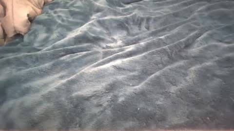 Snapshot of petite_cupcake chatting on February 26, 2:59 am Little cupcake online show from February 26, 2:59 am