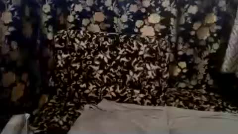 Snapshot of petiteasian_boy chatting on July 13, 7:22 am cute vir online show from July 13, 7:22 am