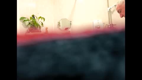 Snapshot of petrol63102 chatting on February 19, 9:38 am petrol63102 online show from February 19, 9:38 am