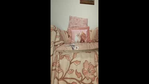 philos1979 online show from January 19, 1:31 am