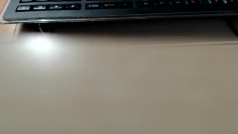 pier49x online show from December 22, 4:48 pm