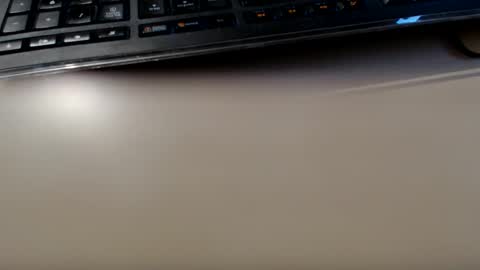 pier49x online show from January 12, 3:57 pm