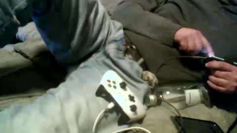 Pierke online show from January 9, 12:57 am