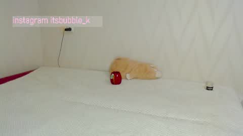 Snapshot of pink_pikachu_ chatting on March 4, 11:00 pm Pikachu pika online show from March 4, 11:00 pm