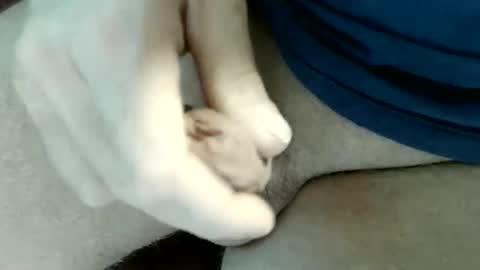 pippo online show from May 31, 9:16 pm
