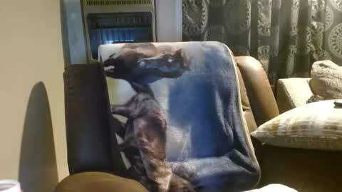 pirate334 online show from January 18, 4:38 am