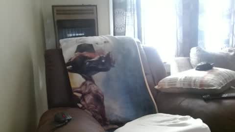 pirate334 online show from February 3, 8:47 pm