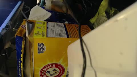 Snapshot of pisanobear chatting on February 7, 10:13 pm Pisanobear Daddy loose open HairyHole poppers toys online show from February 7, 10:13 pm