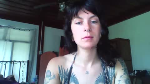 pixiecatfairy online show from November 23, 3:17 am