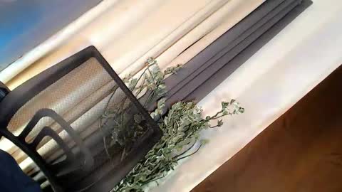 kate online show from March 21, 5:01 am