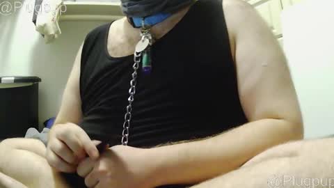 Snapshot of plugpup chatting on December 21, 7:10 pm PlugPup online show from December 21, 7:10 pm