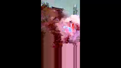 Snapshot of plumber336652 chatting on May 31, 12:30 am plumber336652 online show from May 31, 12:30 am