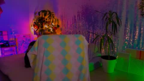 Martha online show from February 9, 3:49 pm