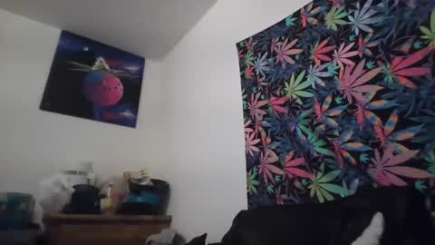 Snapshot of presidentialbryana chatting on September 13, 2:33 am Libra Lamont online show from September 13, 2:33 am