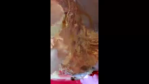 prettymoneychaser online show from April 17, 8:12 pm