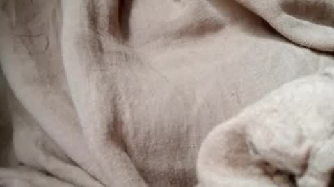 Snapshot of prettyrose01 chatting on July 14, 10:48 pm prettyrose01 online show from July 14, 10:48 pm
