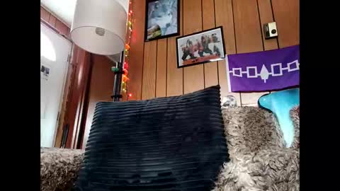 prettysolid7 online show from January 12, 6:46 pm