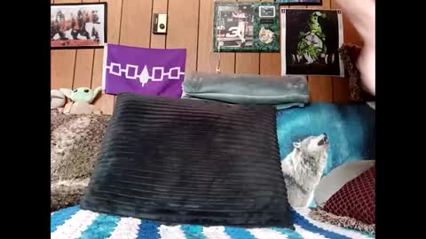 prettysolid7 online show from March 22, 2:20 pm