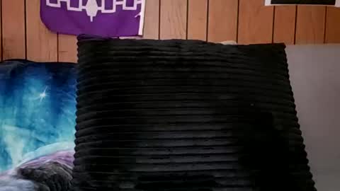 prettysolidd7 online show from February 24, 11:21 am