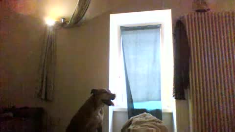 Snapshot of priante1983 chatting on January 8, 12:40 pm BBW facial slave online show from January 8, 12:40 pm