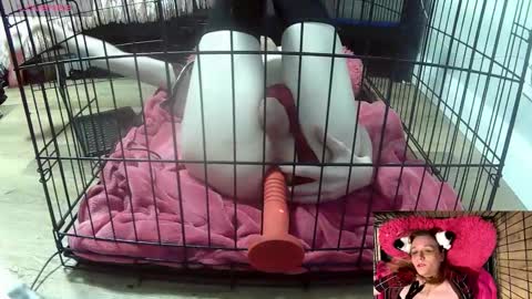 Snapshot of princessjuliaxo4 chatting on February 3, 2:10 am PrIncessJulia0X online show from February 3, 2:10 am