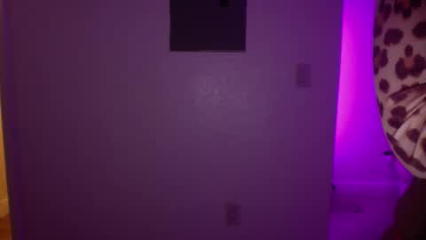 Snapshot of princesstwerkk chatting on April 6, 4:57 am Princess Twerkk online show from April 6, 4:57 am