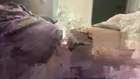 Snapshot of prishpreed23 chatting on March 12, 11:38 am prishpreed23 online show from March 12, 11:38 am