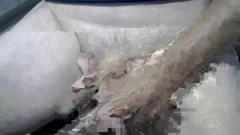 Snapshot of psfunman chatting on February 13, 6:05 pm psfunman online show from February 13, 6:05 pm