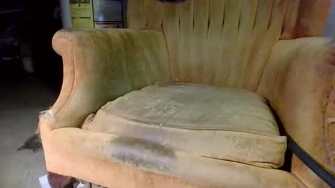 pspee313 online show from October 31, 11:06 pm