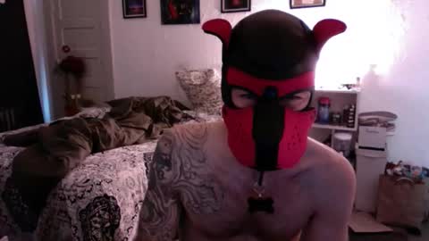 pupsuede online show from March 15, 7:20 pm