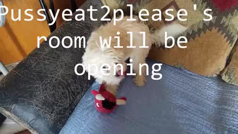 Rick online show from February 25, 11:08 am