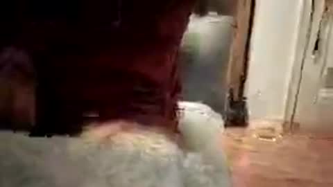 pussyfootjackson online show from July 28, 4:41 am