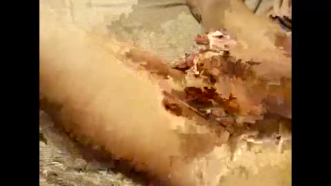 Thick Pussy banger online show from September 28, 7:52 pm