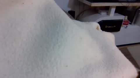 queen014 online show from December 2, 10:27 pm