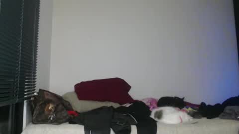 Snapshot of queennicky88 chatting on January 2, 3:15 am Nico online show from January 2, 3:15 am