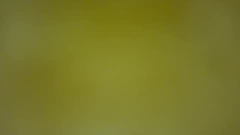 Snapshot of quinnxx chatting on February 8, 5:33 am quinnxx online show from February 8, 5:33 am