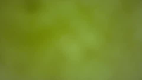 Snapshot of quinnxx chatting on February 22, 6:35 am quinnxx online show from February 22, 6:35 am