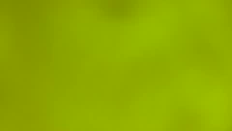 Snapshot of quinnxx chatting on March 9, 6:28 am quinnxx online show from March 9, 6:28 am