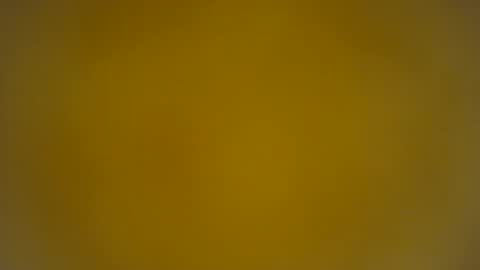 Snapshot of quinnxx chatting on March 24, 8:19 am quinnxx online show from March 24, 8:19 am