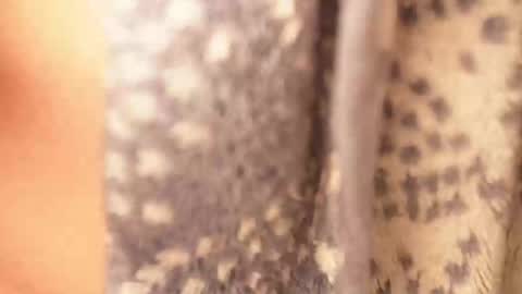 Rami online show from February 17, 4:42 am