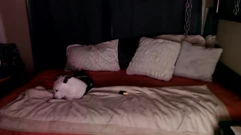 Snapshot of ramonaquinn chatting on December 20, 8:49 am RAMONA Q online show from December 20, 8:49 am