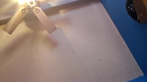 Randcandy77 online show from November 11, 4:51 pm