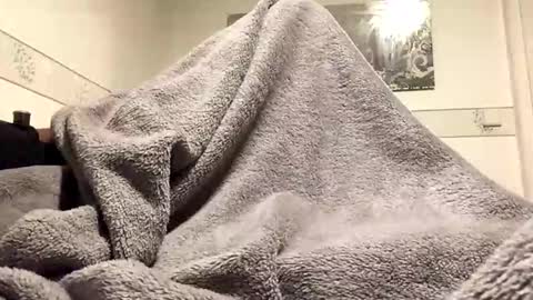 Snapshot of ranj00800 chatting on November 24, 6:51 pm ranj00800 online show from November 24, 6:51 pm