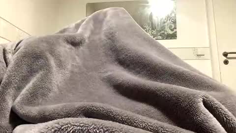 Snapshot of ranj00800 chatting on December 18, 5:19 pm ranj00800 online show from December 18, 5:19 pm