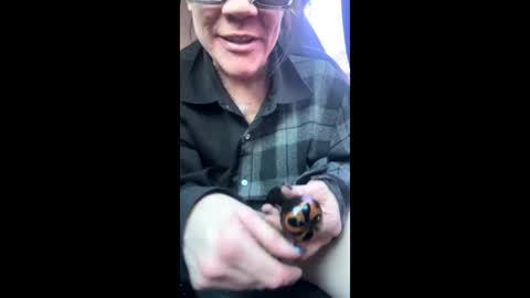 Raven Ray online show from February 9, 4:22 pm