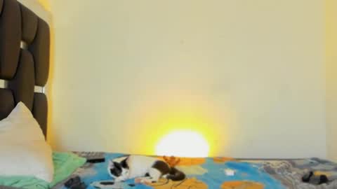 Snapshot of raydevil_ chatting on November 5, 4:40 pm Rayn online show from November 5, 4:40 pm