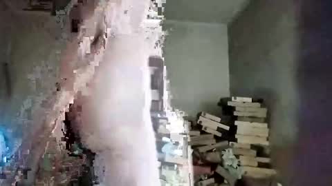 rdcervetto81 online show from February 11, 8:08 am