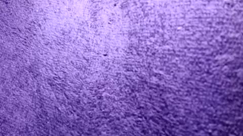 Snapshot of reafrio chatting on October 21, 6:30 pm Rasta online show from October 21, 6:30 pm