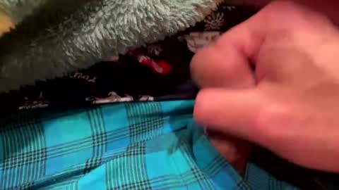 realbigload77 online show from December 23, 3:26 am